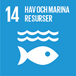 Globala målen - Hav och marina resurser