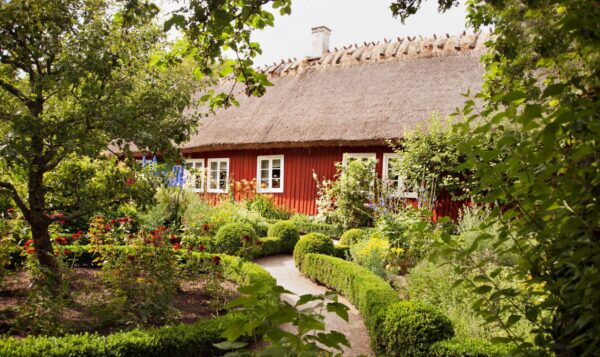 Skåne Farmstead´s garden at Skansen, photo: Marie Andersson