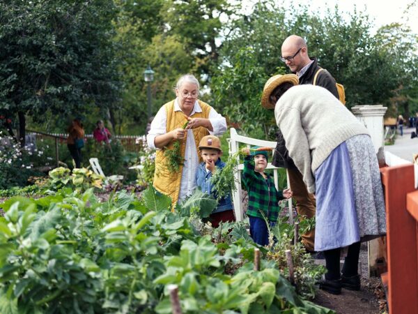En familj kollar på odlingarna vid Kolonilotten tillsammans med en historiskt klädd person.