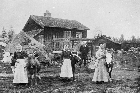 Totra fäbodar i Norrsundet på 1890 - 1920 talet