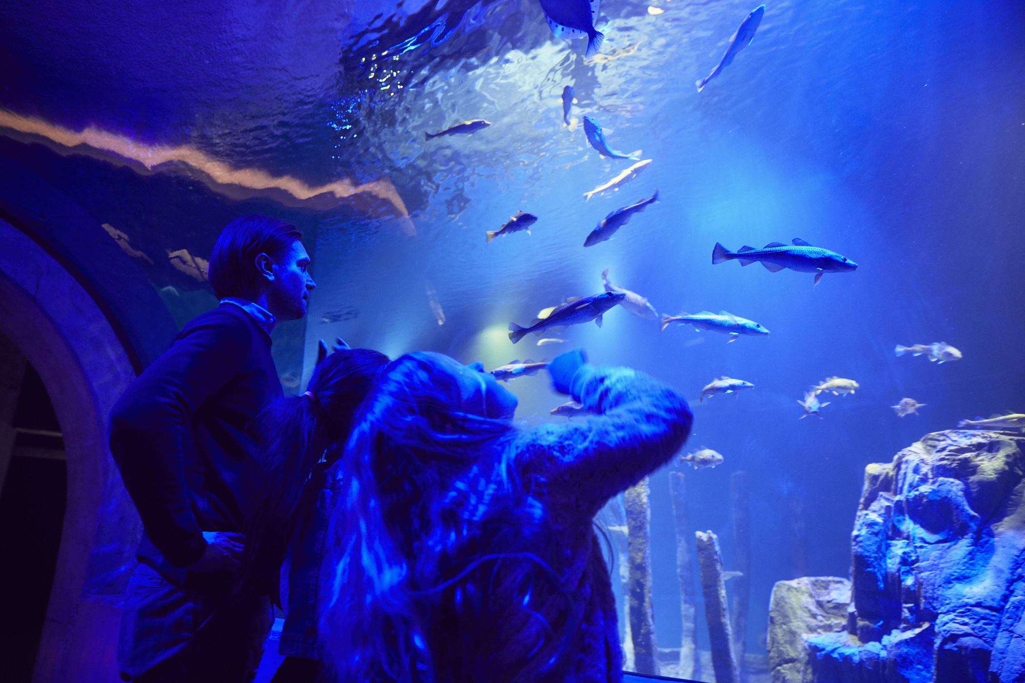 Baltic Sea Science Center - Skansen