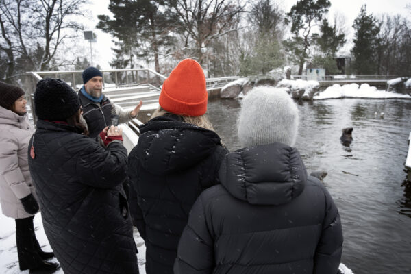 Visning för grupp på Skansen